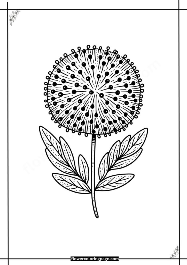 pincushion coloring pages pdf