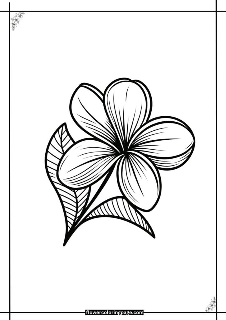 plumeria flower coloring pages