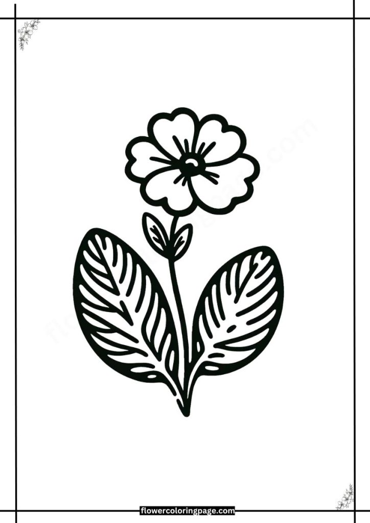 polyanthus coloring pages pdf