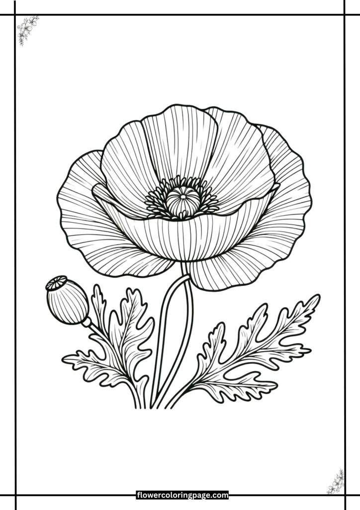 poppy coloring pages