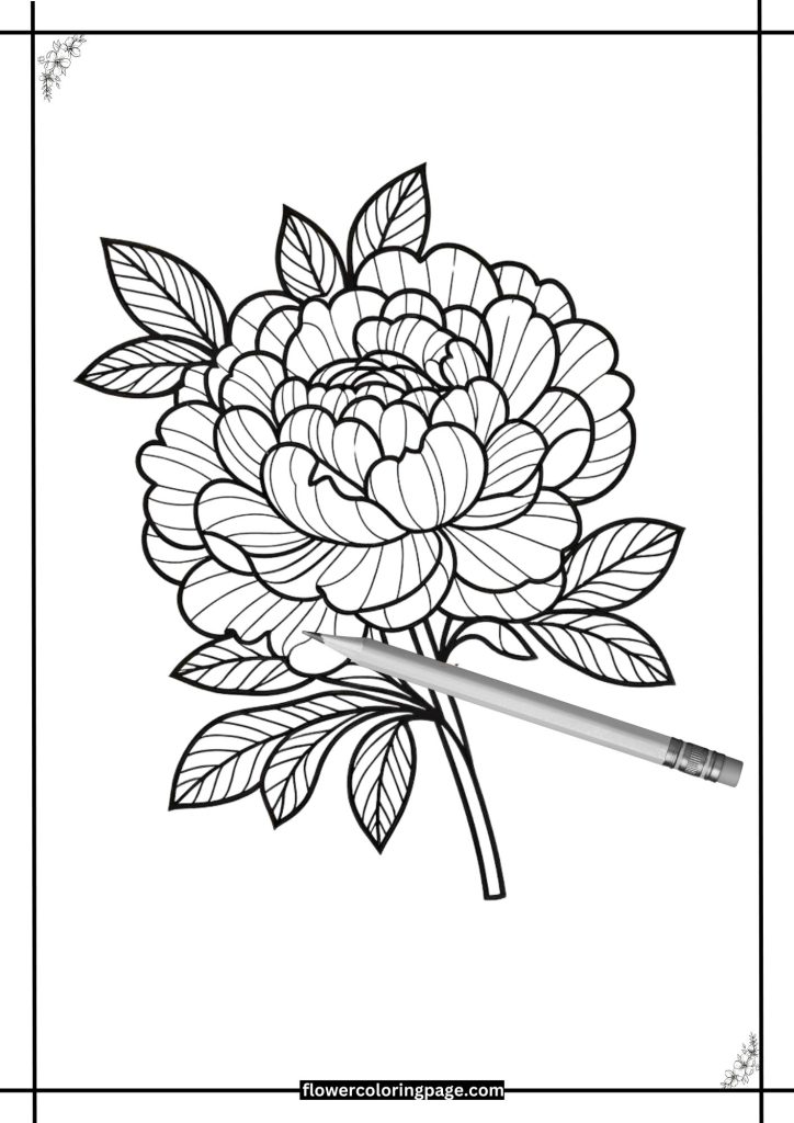 poppy coloring pages printable