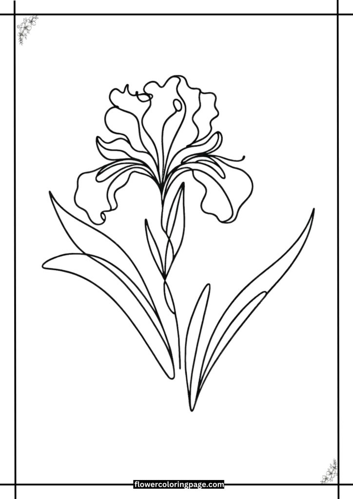 printable iris flower coloring page