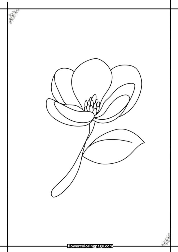 printable magnolia coloring page