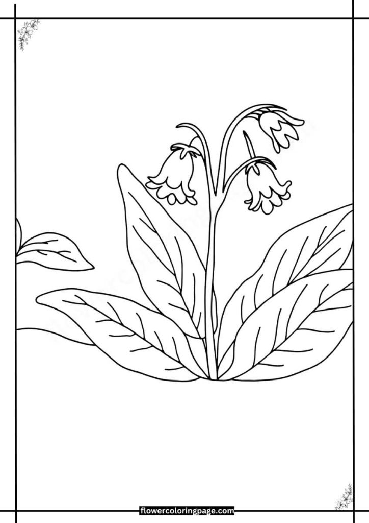 pulmonaria coloring pages free download