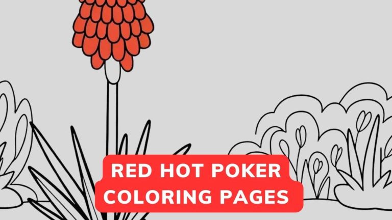 red hot poker coloring pages