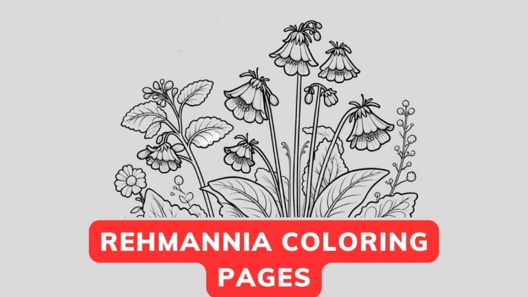 rehmannia coloring pages