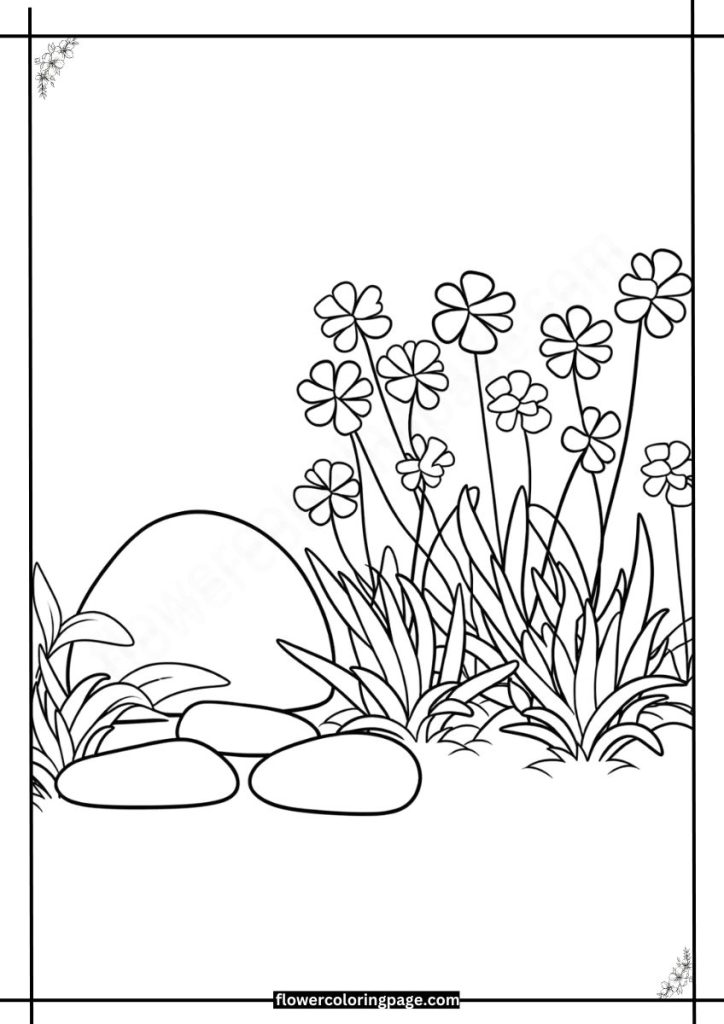 rock cress coloring page