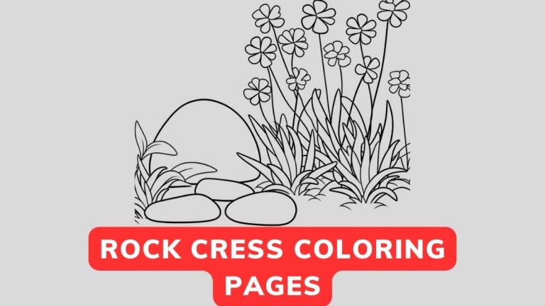 rock cress coloring pages