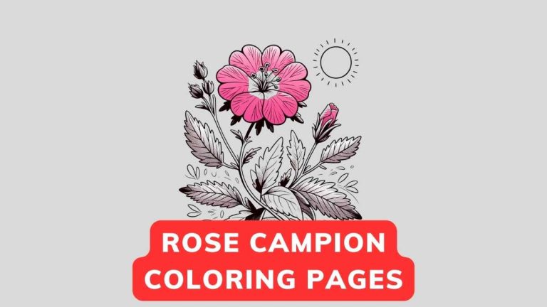 rose campion coloring pages