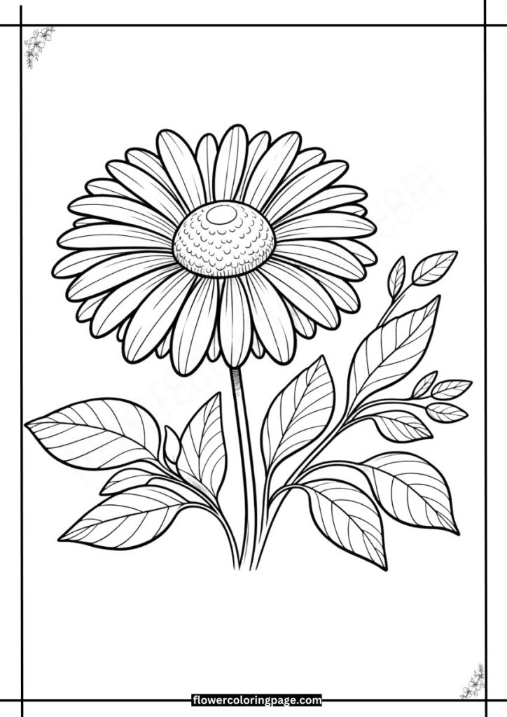 rudbeckia coloring page