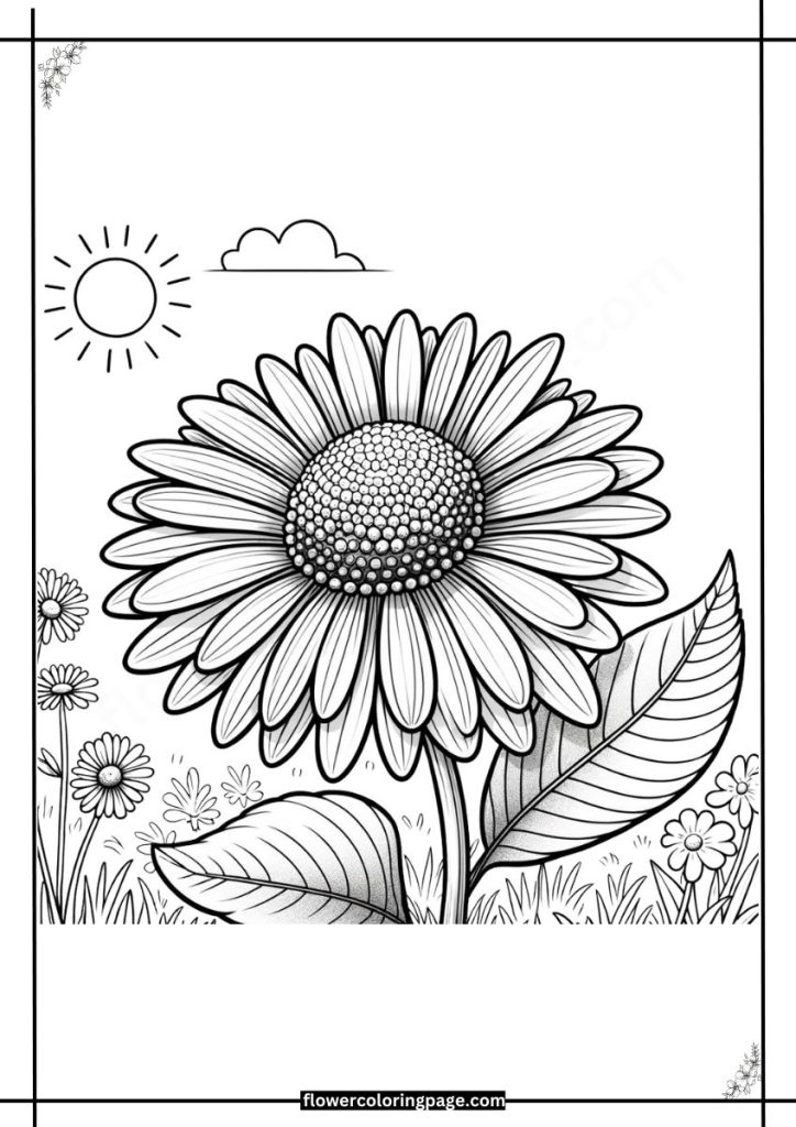 rudbeckia coloring page free download