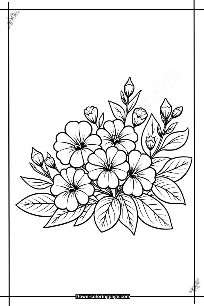scaevola coloring pages printable