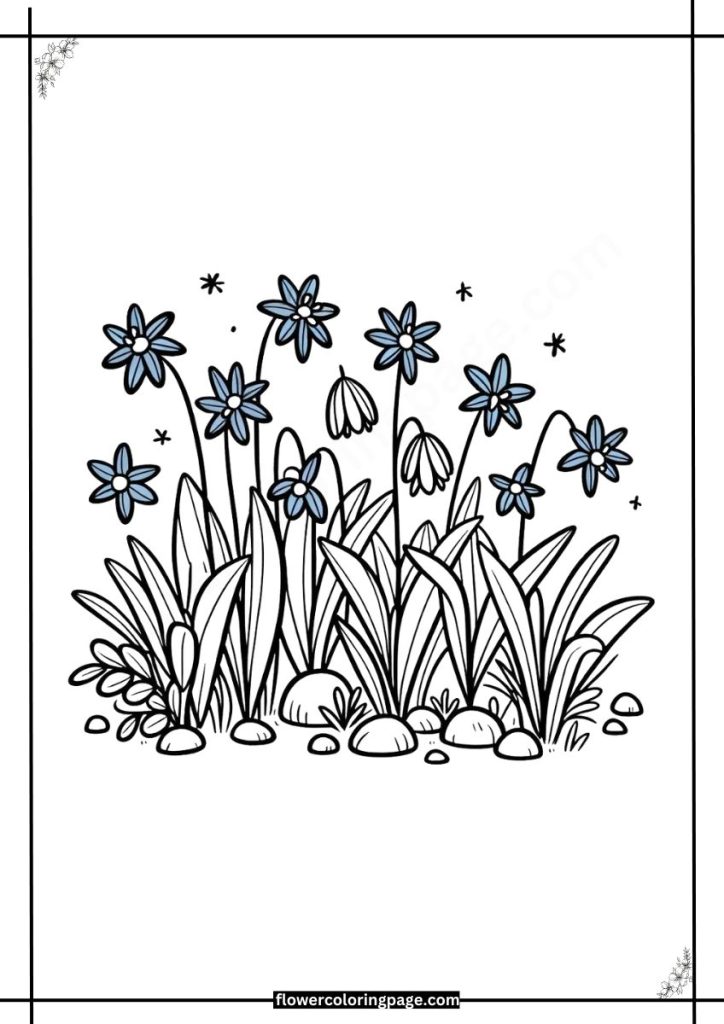 scilla coloring pages free download