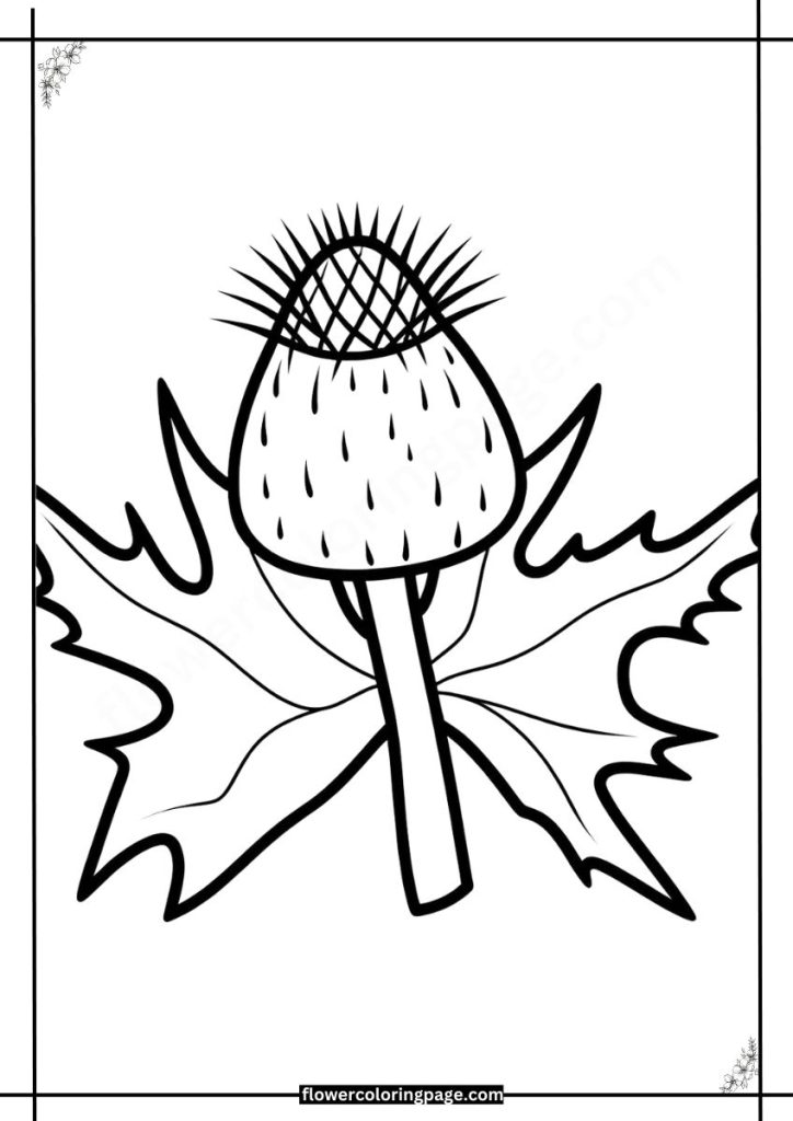 sea holly coloring pages free download