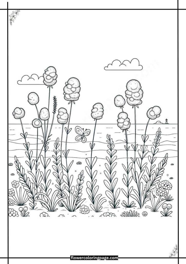 sea lavender coloring pages free download