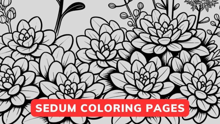 sedum coloring page
