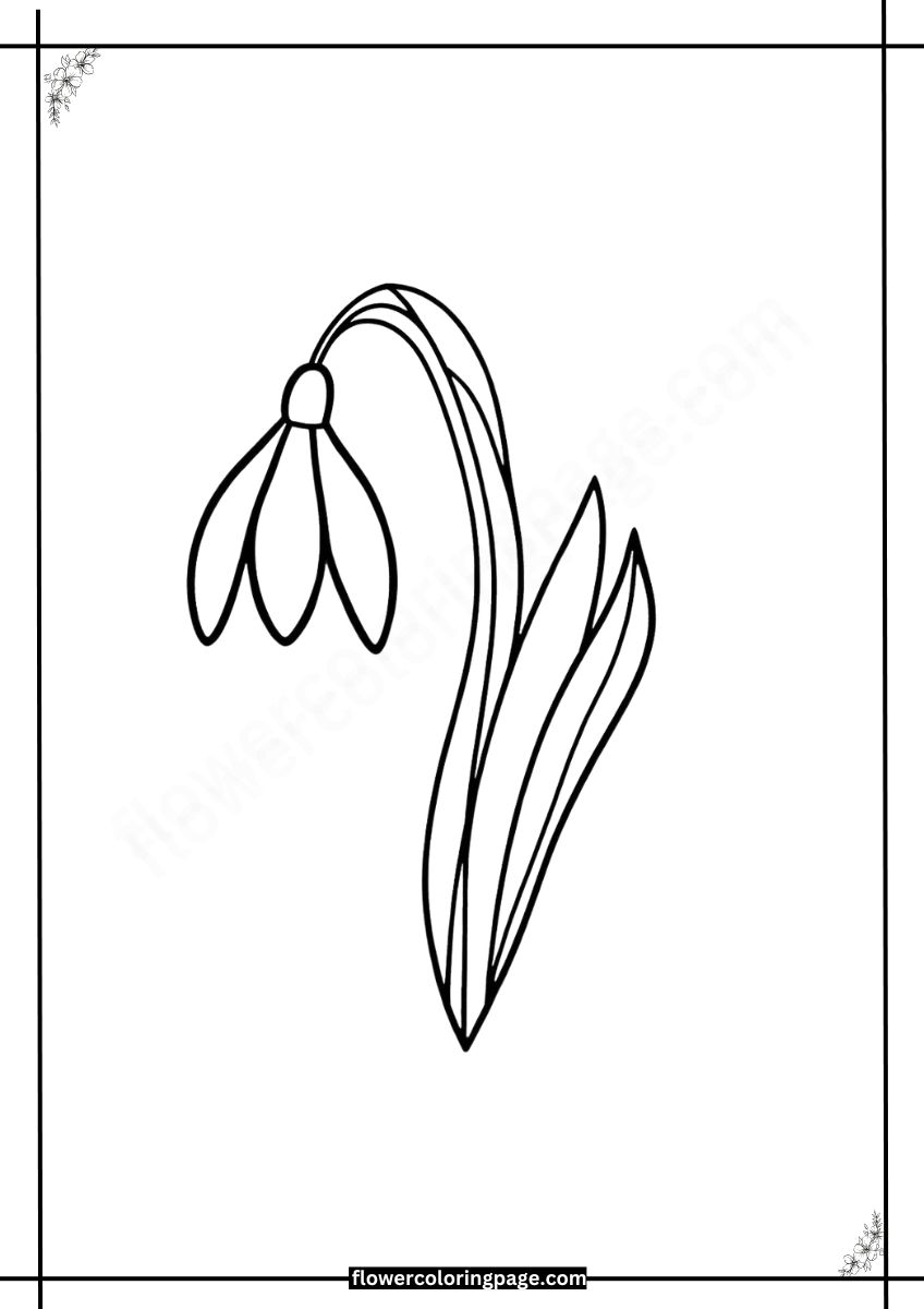 Free Snowdrop Coloring Pages Printable PDF - Flower Coloring Page