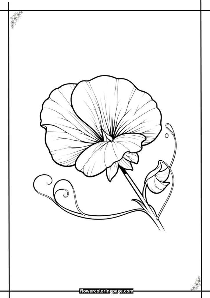 sweet pea coloring pages