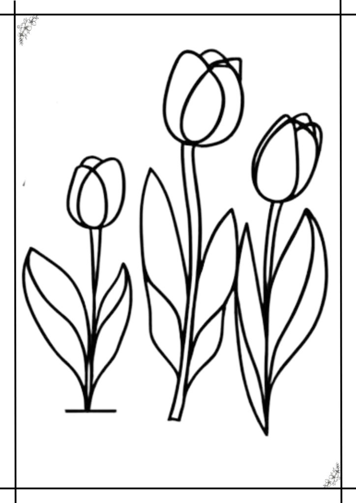 tulip coloring page for kids