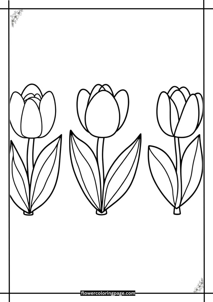 tulip coloring page pdf