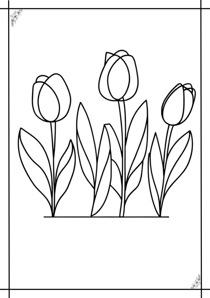 tulip coloring pages for kids