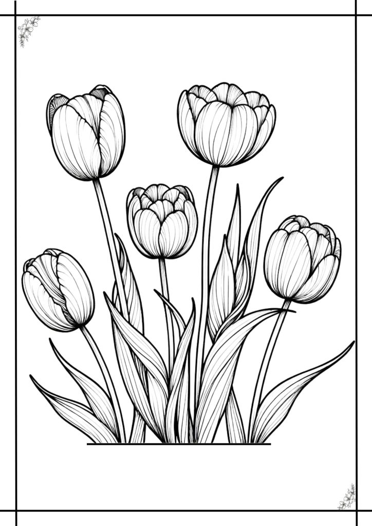 tulip coloring pages for toddlers