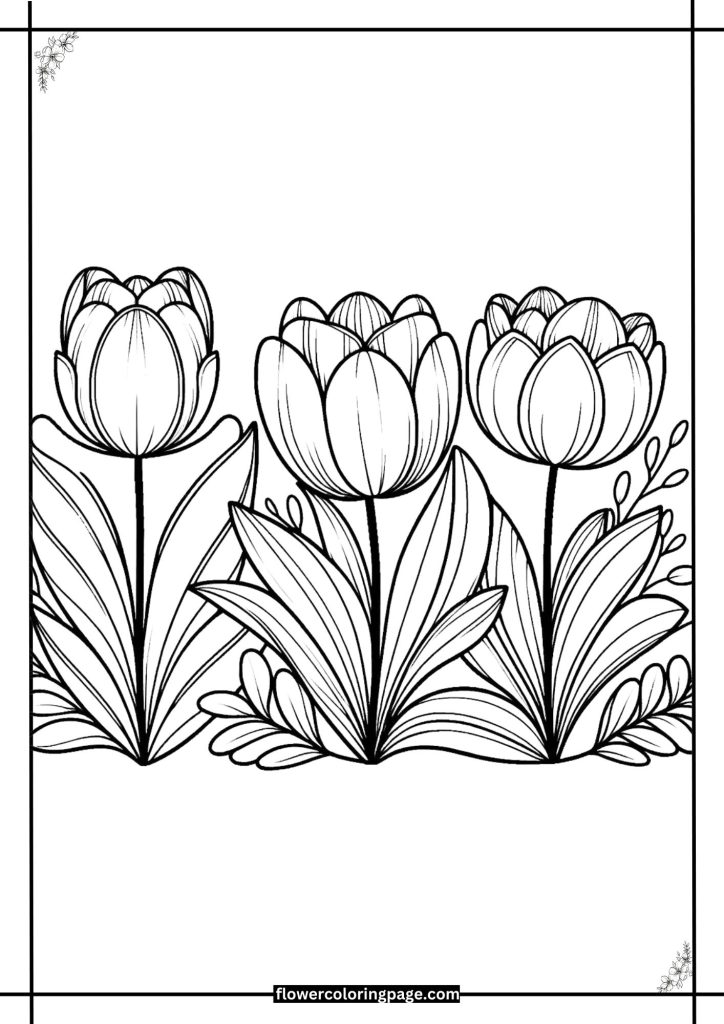 tulip coloring pages pdf