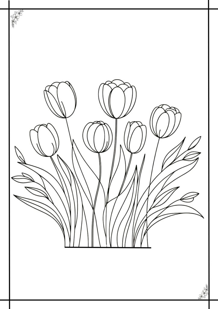 tulip coloring sheets