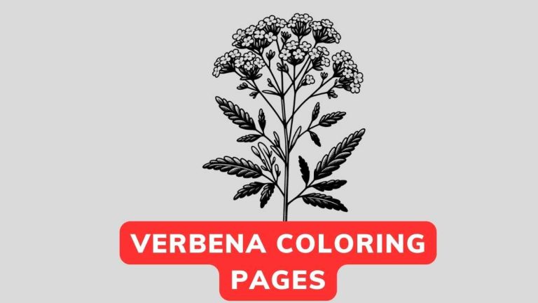 verbena coloring page