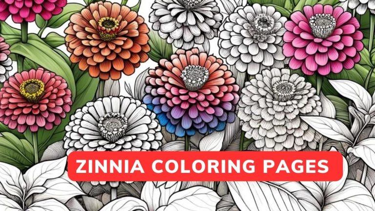 zinnia coloring pages