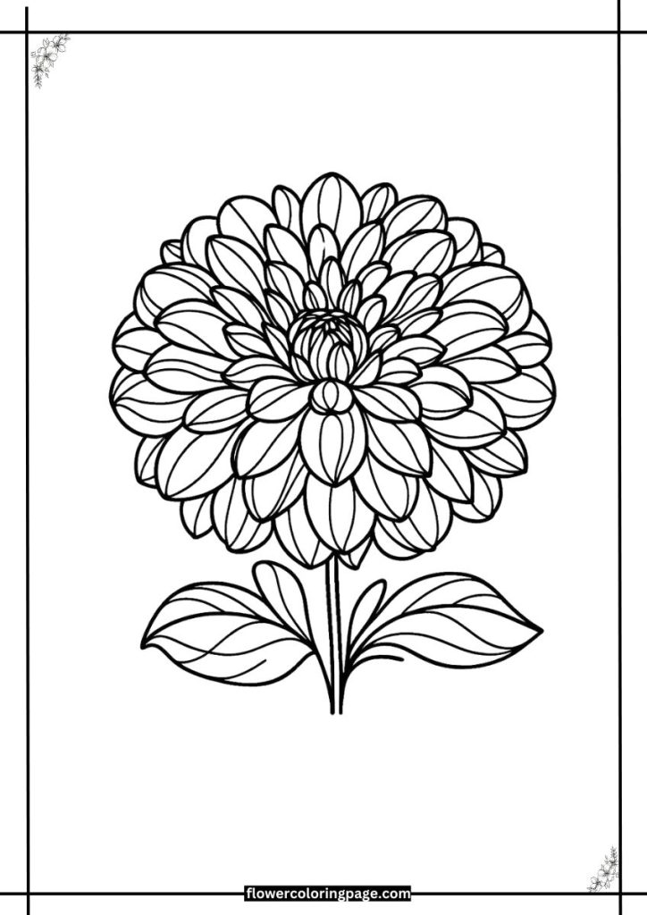 zinnia coloring pages