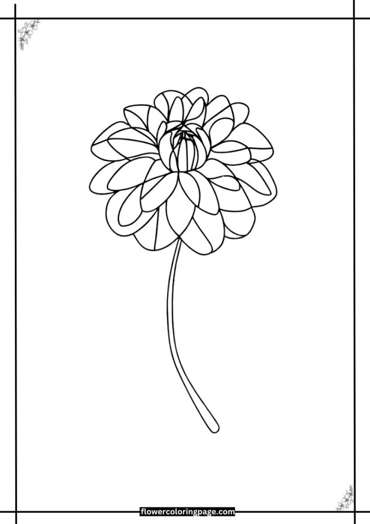 zinnia coloring sheet